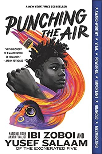 book cover for Punching the Air