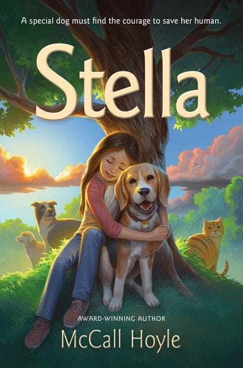 book cover for Stella: Volume 1