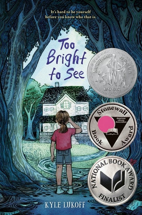 book cover for Too Bright to See