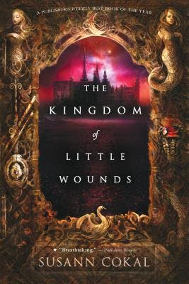 book cover for The Kingdom of Little Wounds