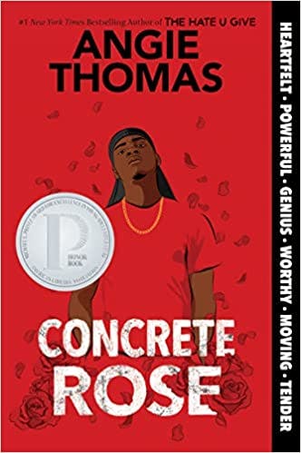 book cover for Concrete Rose