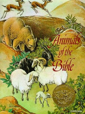 book cover for Animals of the Bible: A Caldecott Award Winner