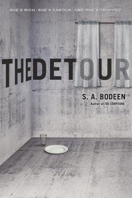 book cover for The Detour
