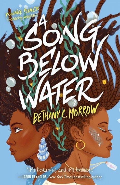 book cover for A Song Below Water