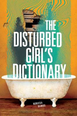 book cover for The Disturbed Girl's Dictionary