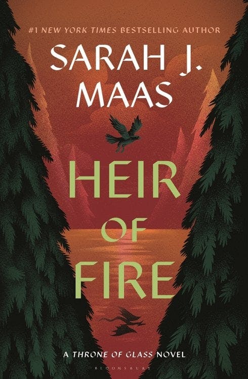 book cover for Heir of Fire